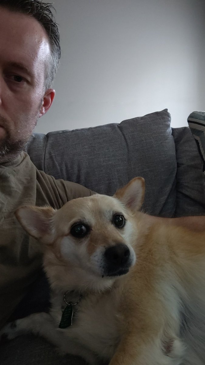 mplasher's tweet photo. Disappointed I can't spend #atsa2020 with my ATSA friends, but at least I've got a conference companion with me #atsafromhome https://t.co/IsPDxrKN1N