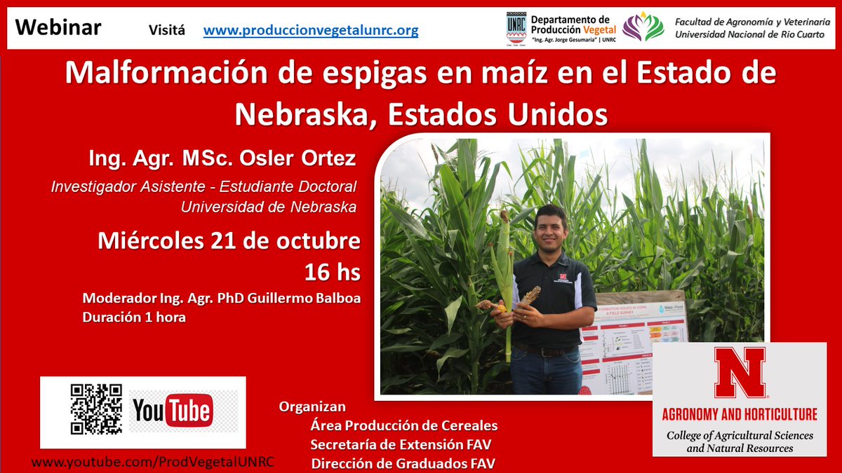 En minutos: Malformación de espigas en maíz en el estado de Nebraska, Estados Unidos.