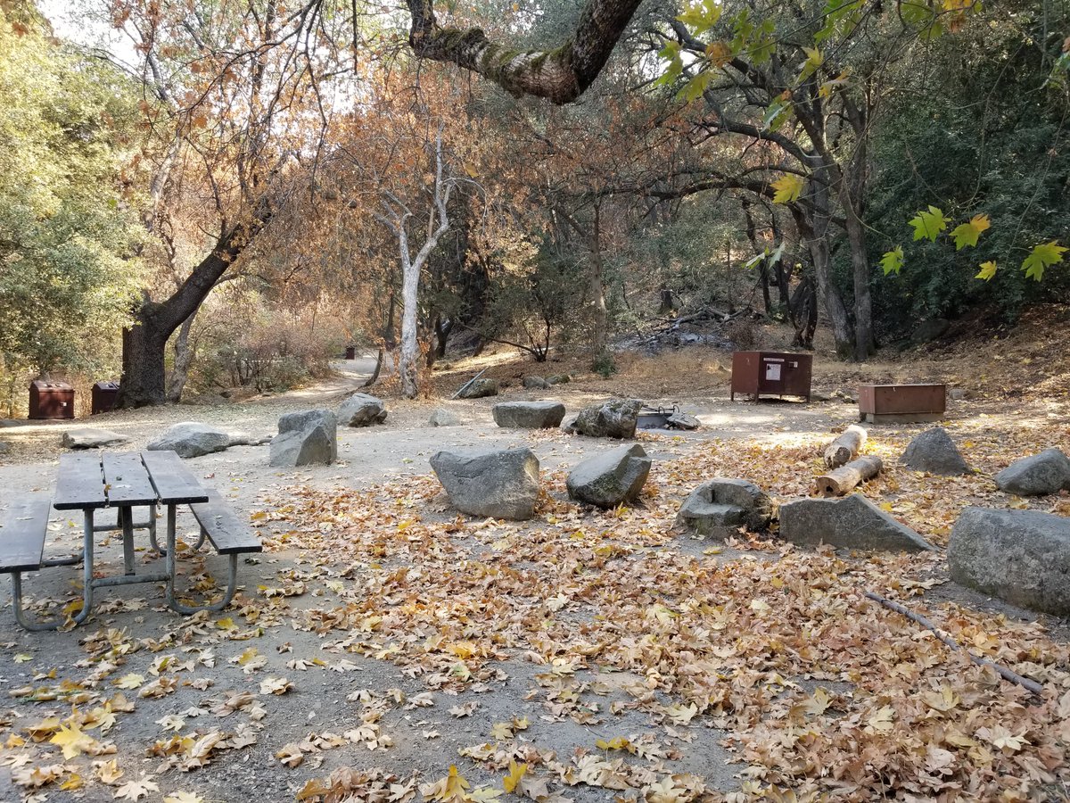 SequoiaKingsNPS's tweet photo. Fire staff want to share pictures of how the South Fork Campground and near-by trailhead areas remain intact due to firefighting efforts. The area remains closed due to the ongoing work by fire crews. For more info: https://t.co/S8rII1YFSv #2020Fires #SQFComplex #SequoiaNP https://t.co/jxzSgR1SPB