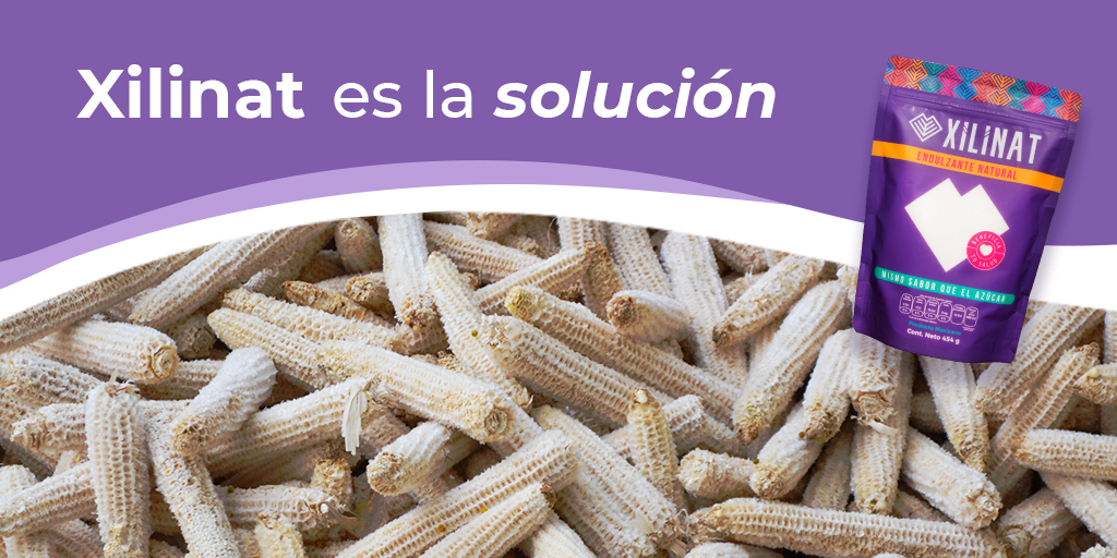 Millones de desperdicios del maíz que son incinerados, claman por una solución

🌽 + 👨‍🔬 = Xilinat, hecho de olote de maíz. 

#ProductoSustentable #EconomíaCircular