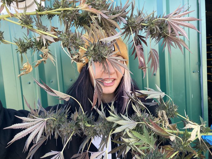 High https://t.co/2lYRonVGDT<a href="/tag/thanku"class="tags"><span>#thanku</span></a><a href="/tag/circusshit"class="tags"><span>#circusshit</span></a>