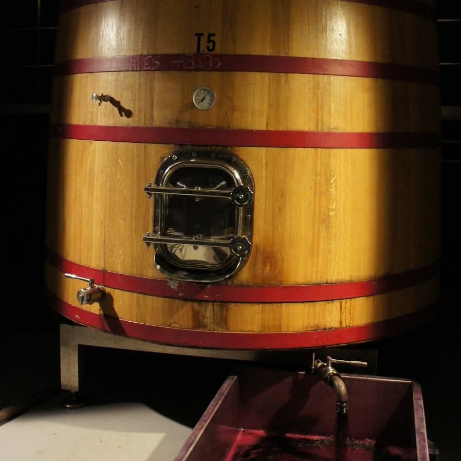 Buenas uvas, buen vino.