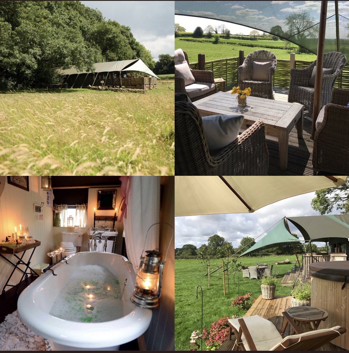 NEWS: Our exciting news is that next spring we will be able to provide the idyllic glamping experience. Exciting times ahead.   thedandelionhideaway.co.uk/home