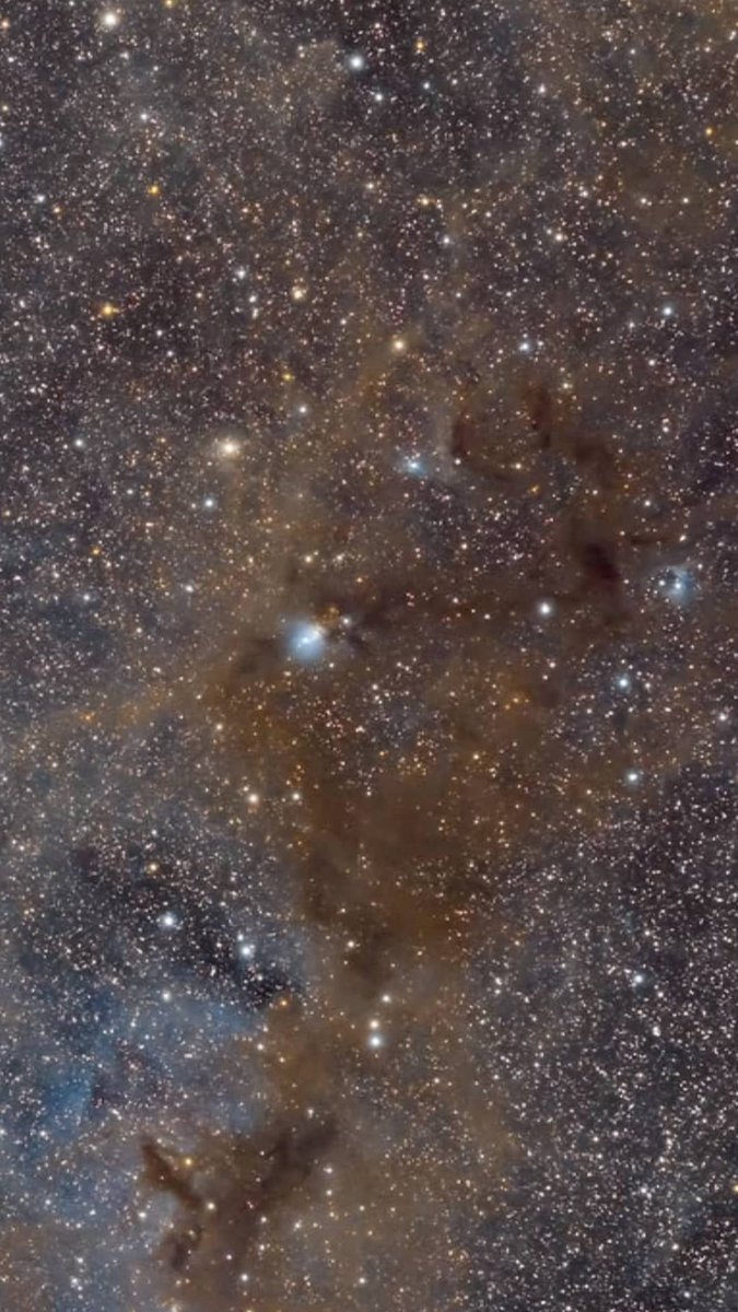 Perseus'un tozları...
NGC 1333 Embryo Bulutsusu ve çevreleyen sütlü kahve moleküler bulutları....
Duvar kağıdı da hemen buracıkta... 
Fotoğraf detayları için
instagram.com/p/CGnEiYyAhJu/…