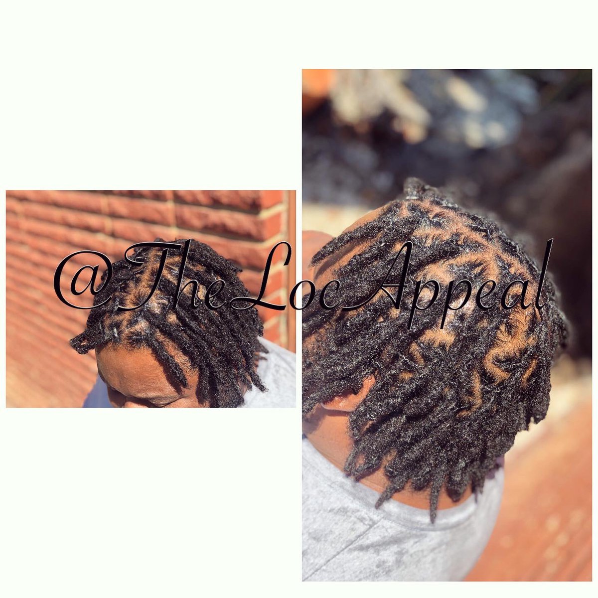 TheLocAppeal's tweet photo. #Locs #dread #Dreadlocks #CaliLocs #Dreadlocksinlosangeles #rasta #interlocking #starterdreads #starterlocs #combcoil #locstylesformen #locstylesforwomen #locstylesforkids #LAHair #LocJourney #LosAngeles #Inglewood #kinkyhair #naturalhairproducts #ladreads #locrepair https://t.co/inOKFyPI3v