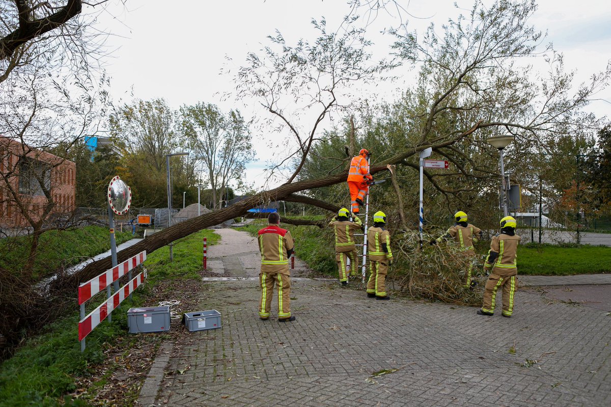 Den Hoorn: Omgevallen boom blokkeert Tanthofkade in Den Hoorn.