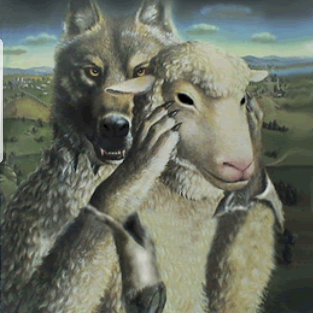 HMG Sports Management tweet media