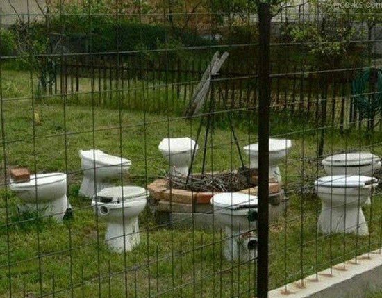 Vasya_OB's tweet photo. “la casa de papel” as toilet
a thread https://t.co/t01T9FKYt4