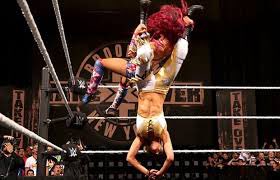 Women’s Title: Sasha Banks (c) Vs BayleyMost important WWE match of the 2010s. The Hart/Austin WM13 moment for US women’s wrestling,changing everything in its wake. Violent, epic, cathartic. Tears for the Curtain Call. Good? It’s a fucking masterpiece, mate.IT’S STILL GOOD!