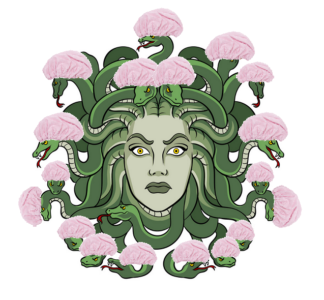 when medusa showers is it

like this or                                   like this