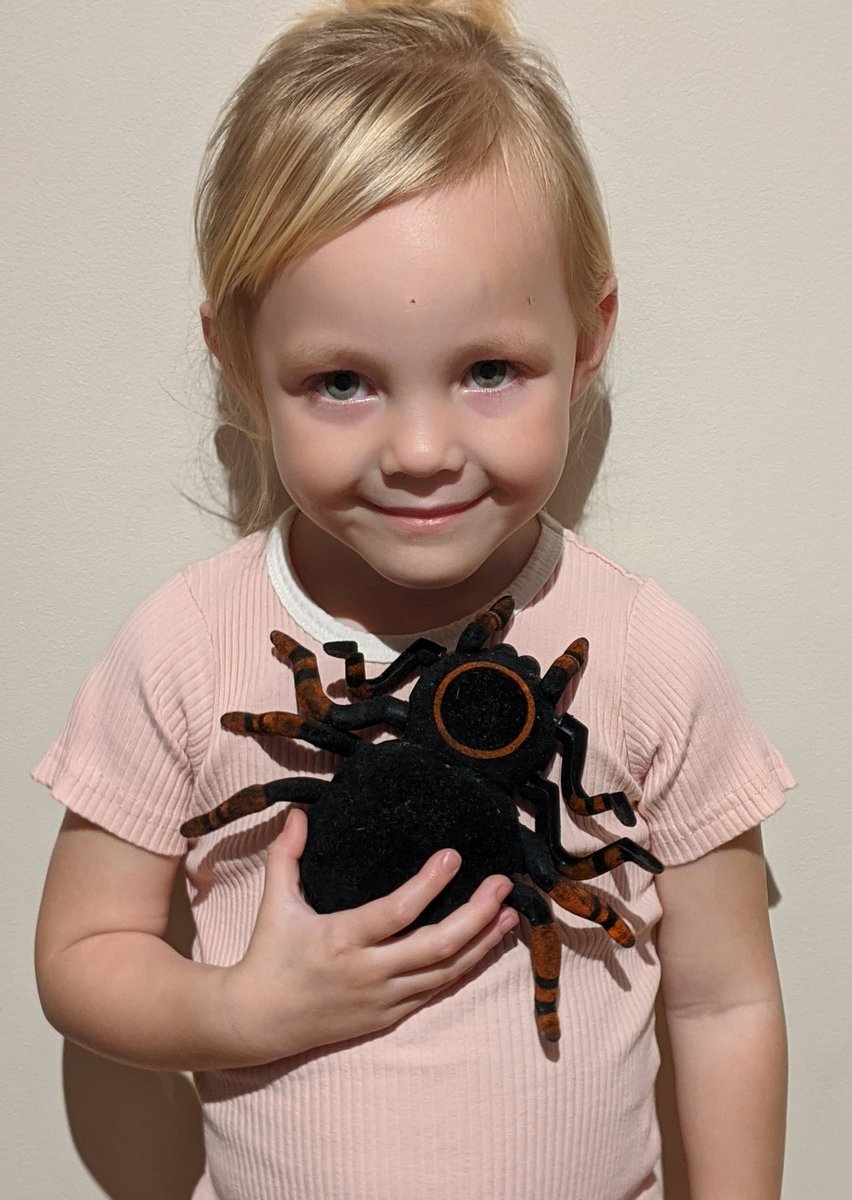 JodieMorgan321's tweet photo. @YBBNursery Lilah practicing Inch Wincy Spider with her new friend. Can't seem to upload it to Satchel for some reason? 🙈 https://t.co/68odizbe1l