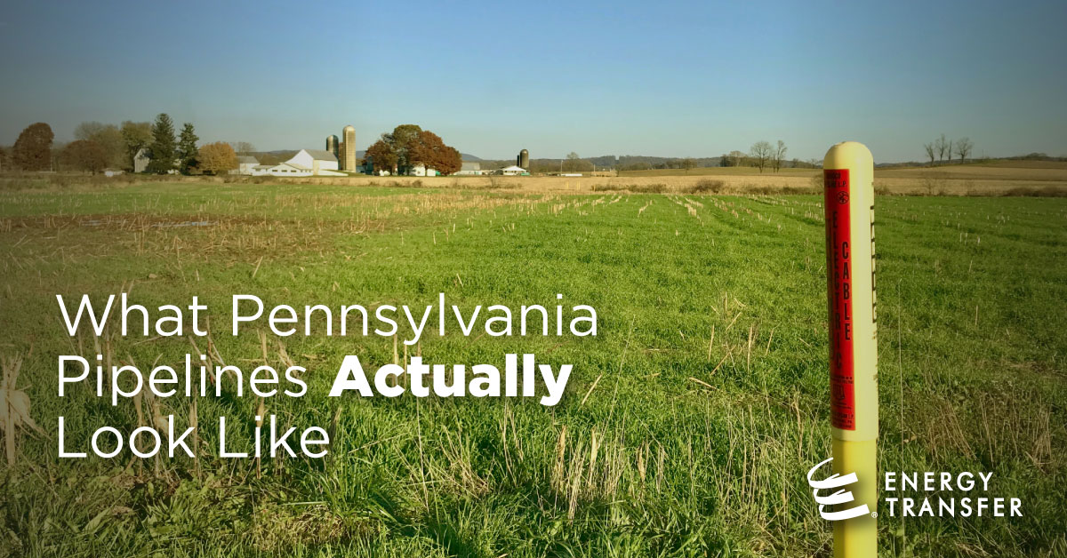 ETNortheast's tweet photo. We believe #conservation and #energy development go hand in hand! Once #pipeline construction is complete, we fully restore land to its original state or better, ensuring the long-term integrity of #PA’s environment. #Committed2PA https://t.co/kCvvAKjZMX https://t.co/qouI8cwQ6A