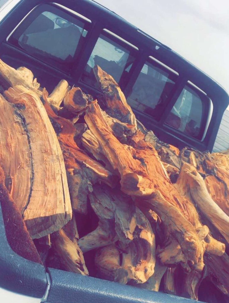 للبيع حطب سمر شلايخ
حمولة مسح حوض هايلكس غمارتين شلايخ 🔥🔥

#الدمام 

#جده_الان