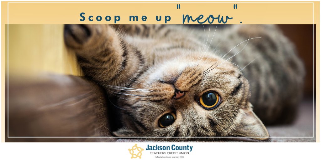 JCTeachersCU's tweet photo. Scoop up your new cuddle buddy from Partners for Pets right "meow". πΎ #JCTCU is matching every donation for Partners for Pets made at the credit union. When you donate, you will also be entered to win a $50 gift card! π°
Partners For Pets website: https://t.co/yMDY3x9wnQ https://t.co/40X1bpIAwx