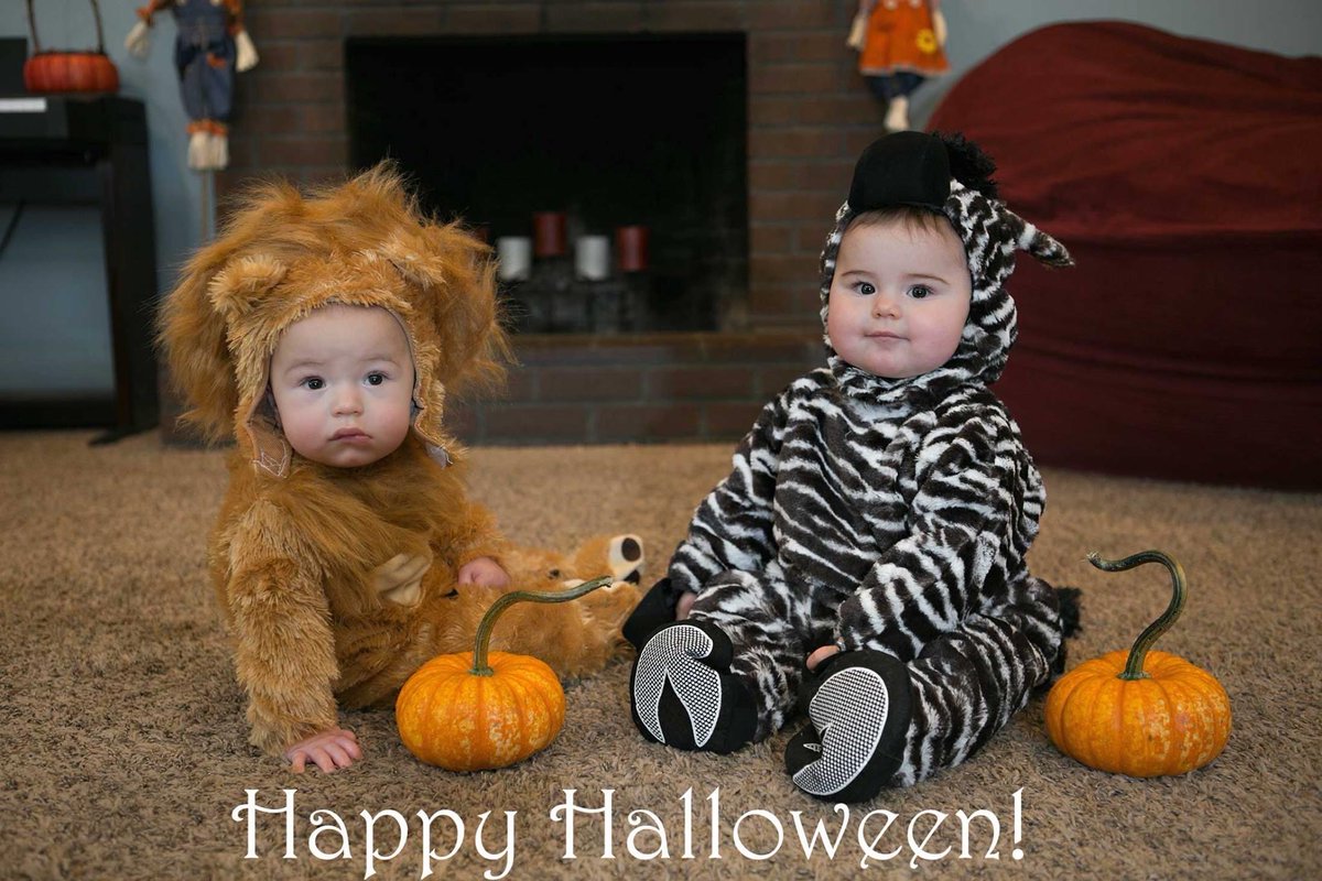 TwinsYogaMom1's tweet photo. Halloween Costumes and Animal Yoga Blog Post! Check out our past costumes from before and after two sets of twins + Animal Yoga and Yoga book of the week.

https://t.co/aZc1oCpuLr

#twinsmom #halloweencostume #kidcostumes #kidsyoga #twinsmommy #costumes #halloween #yogaforkids https://t.co/EbL9dzZaII