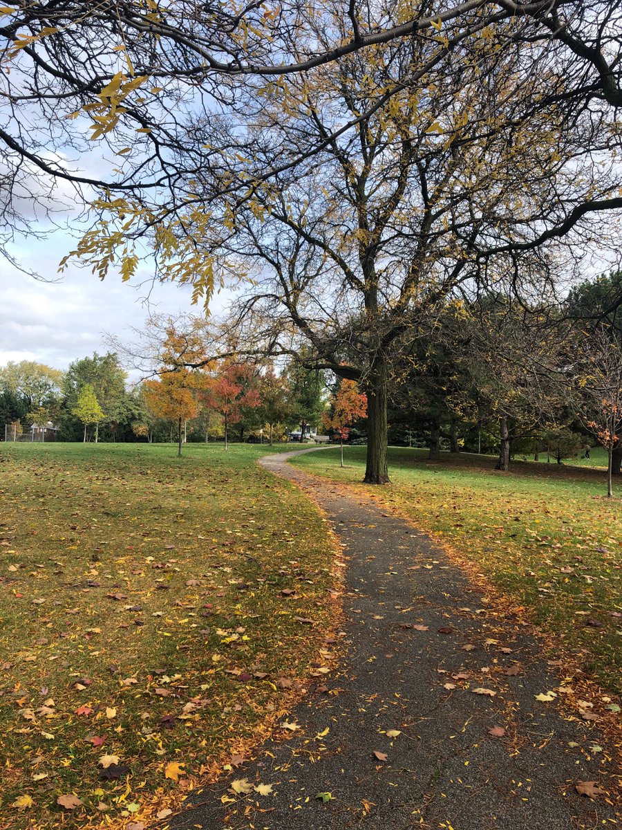 Our virtual class got to go outside today and enjoy the warmth of the sun that came out just in time! #TMOD #TMODCHALLENGE <a href="/peel_fc/">PDSB Field Centres</a> <a href="/MandelaPS/">Nelson Mandela PS</a>