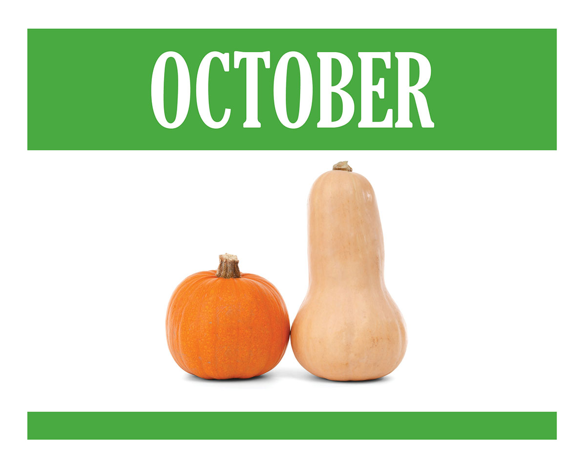 Pumpkin tastes so so good and that's why it's October's food of the month! They're good for eating as well as carving. Pumpkin flesh is really good in soup, stews, curry or roasted.

Tell us your top recipes for these gorgeous gourds!

#stopfoodwaste #valuefood
