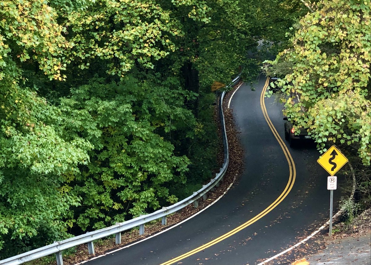 britestack's tweet image. Sometimes you want to find fall color without a super long drive. #TrailNotes has you covered. #TrailTeam11 @WJHL11 @bays_mountain wjhl.com/community/trai…