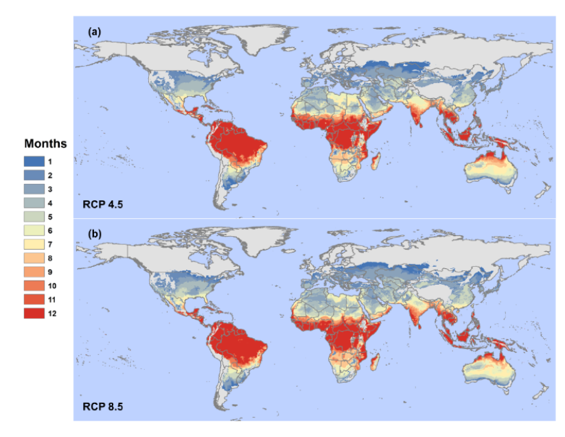 In our new study,  @SadieRyan and I looked for new ways to visualize a difficult policy nuance: rising temperatures will push Zika risk to higher latitudes (left), but equally, huge exposures are projected in east Africa and China (right, in millions).  https://onlinelibrary.wiley.com/doi/epdf/10.1111/gcb.15384