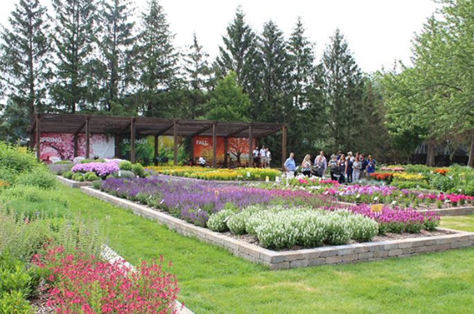 Have a passion for perennials? Darwin Perennials is looking for a Product Representative to join us and provide key perennial accounts in the nursery and greenhouse industry with Darwin Perennials branded programs and products. Interested? Apply here: bit.ly/31q5gn6