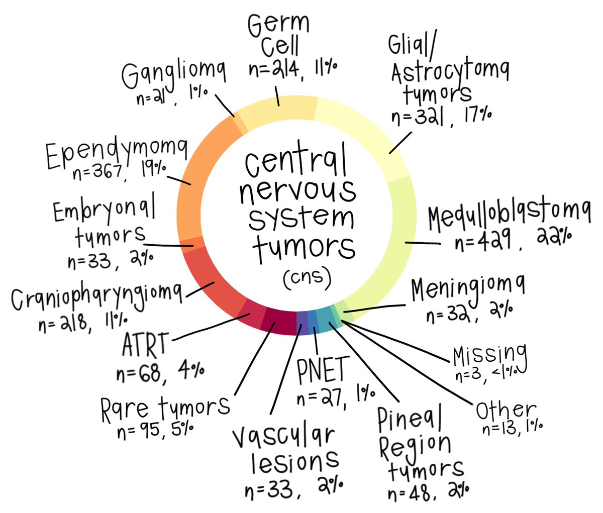 PPCRdata's tweet image. The majority of our PPCR participants have a central nervous system (CNS) tumor diagnosis. Reference the chart for a histology breakdown.