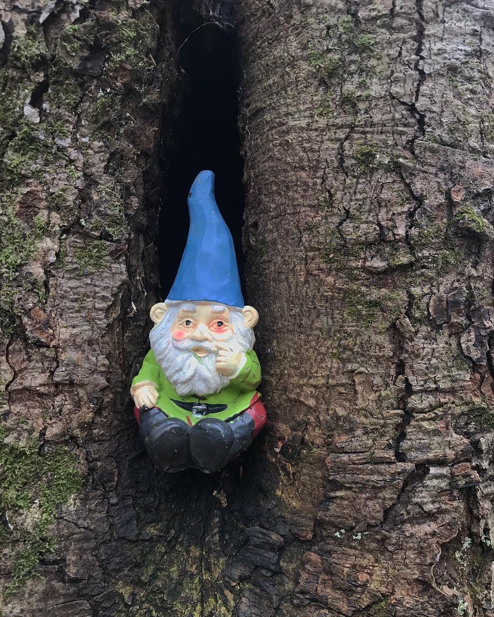 Note: I am now @caro1inehaskins 😌 carolineha_ is dead 💀 here’s a tree gnome I saw on my hike yesterday 🌳