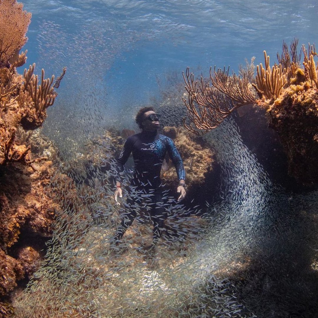 André Musgrove - Underwater photography and shark protection at the 2020 MAURIPRO Virtual Boat Show
https://t.co/n2Dw5kF2Ab
#photography #underwater #sharks #sea #ocean #photos #picture #caption https://t.co/bFg6jk4FIP