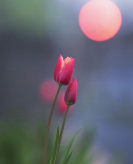 "لو كان مُشتاقًا لأتَى ، ولو كان مُحبًا لحكَى."