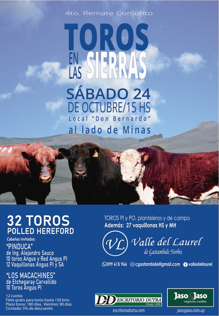 ESCRITORIODUTRA's tweet photo. Se vienen!! 
ＴＯＲＯＳ ＥＮ ＬＡＳ ＳＩＥＲＲＡＳ 
Catalogo digital disponible. 
Vea lotes y pre oferte en nuestra web❗ 
Pre ofertando participas por sorteos y un 2% de descuento en la compra del toro pre ofertado. https://t.co/VsilJpkmfF