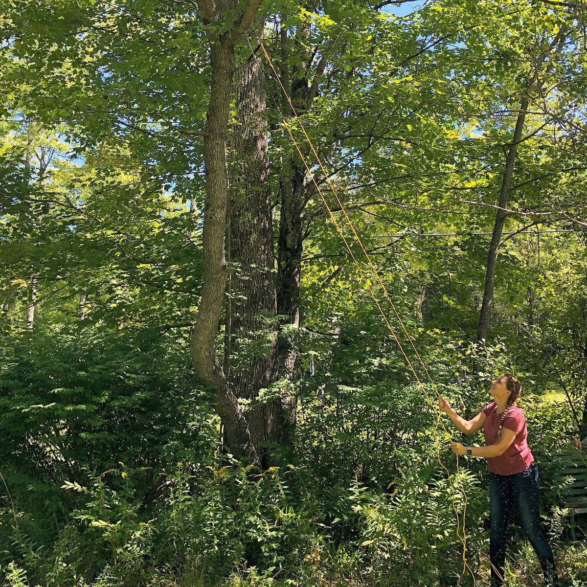 Order our famous High Limb Chainsaw today! Make your property beautiful without getting an expensive tree service when you can do it yourself easily with our product! Order today we are offering free shipping on Home Depot! 🏕🌳 #chainsaw #madeinusa #sale

homedepot.com/p/High-Limb-48…