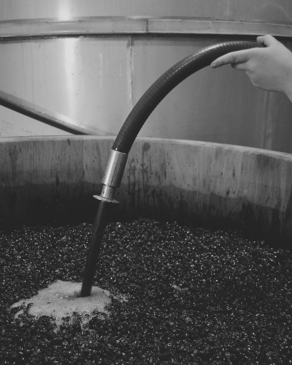 A look into our #harvest this season at Desert Hills! #bcwine instagram.com/p/CGQVpjhBNsr/