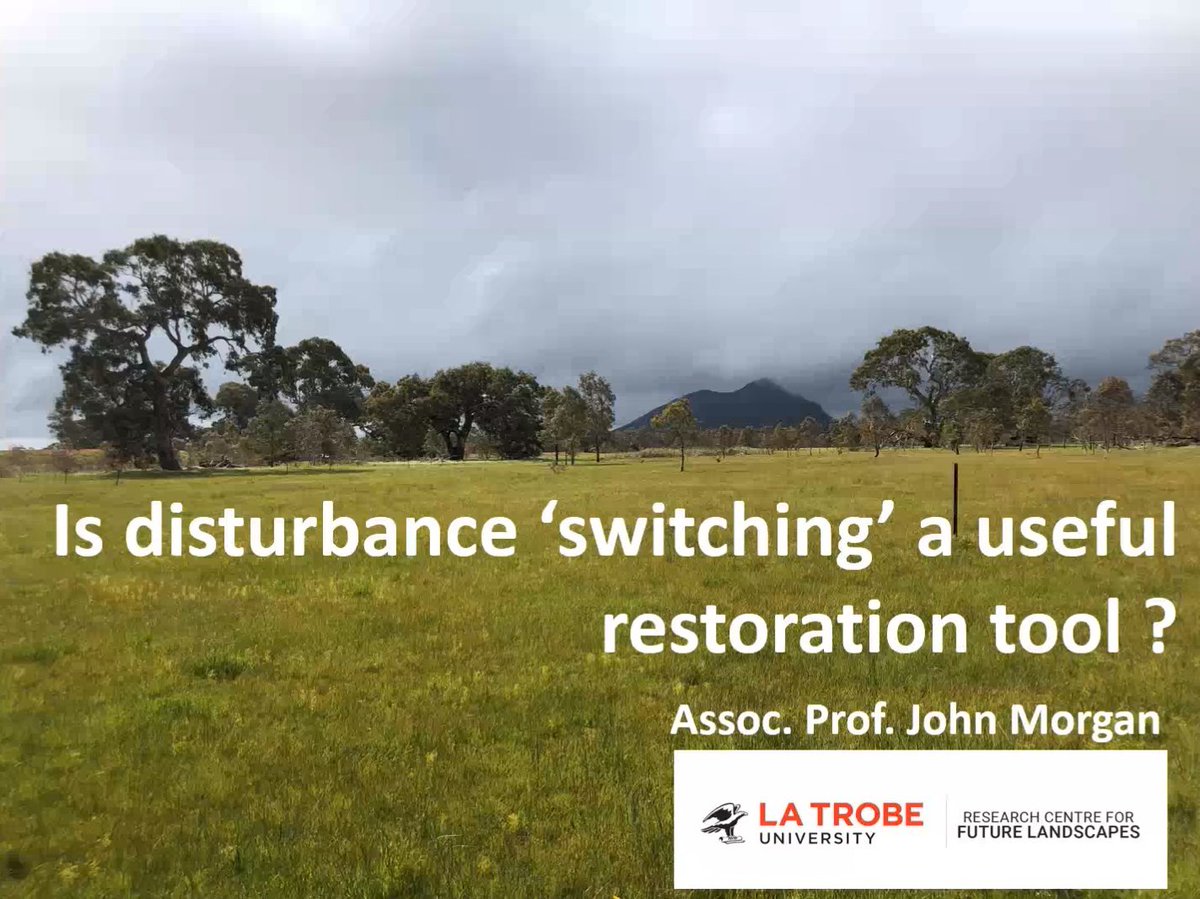 AndrewGeschke's tweet photo. #SWIFFT native grasslands seminar on now. Listening to the brilliant @jmorganecology. Join now: https://t.co/2S8jaNIt36 @SWIFFT01 #grasslands https://t.co/e2PGXNJY2B