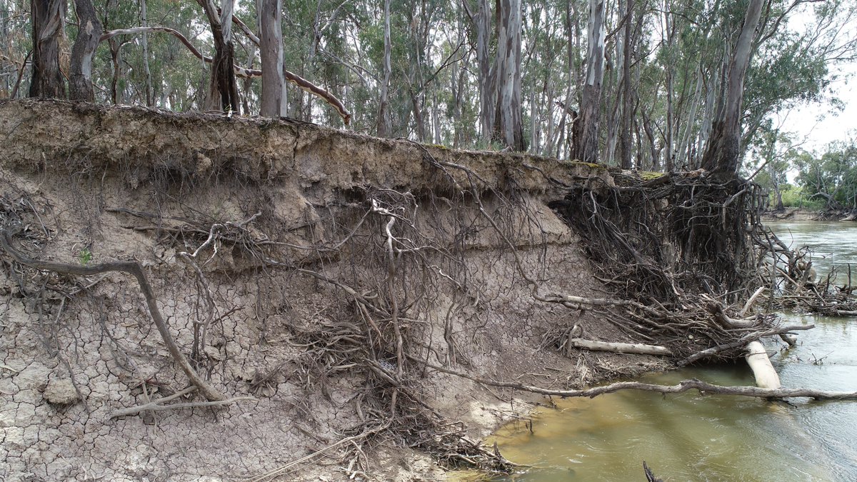 polky_007's tweet photo. Just in case you forgot what our forefathers thought and what the @MD_Basin_Auth
plan was saving us from.......
"Equitable, efficient and sustainable use of the River Murray"
Erosion under the current water reform and subsiquent management
#water #environment #ag #royalcomm https://t.co/C371U29HTZ