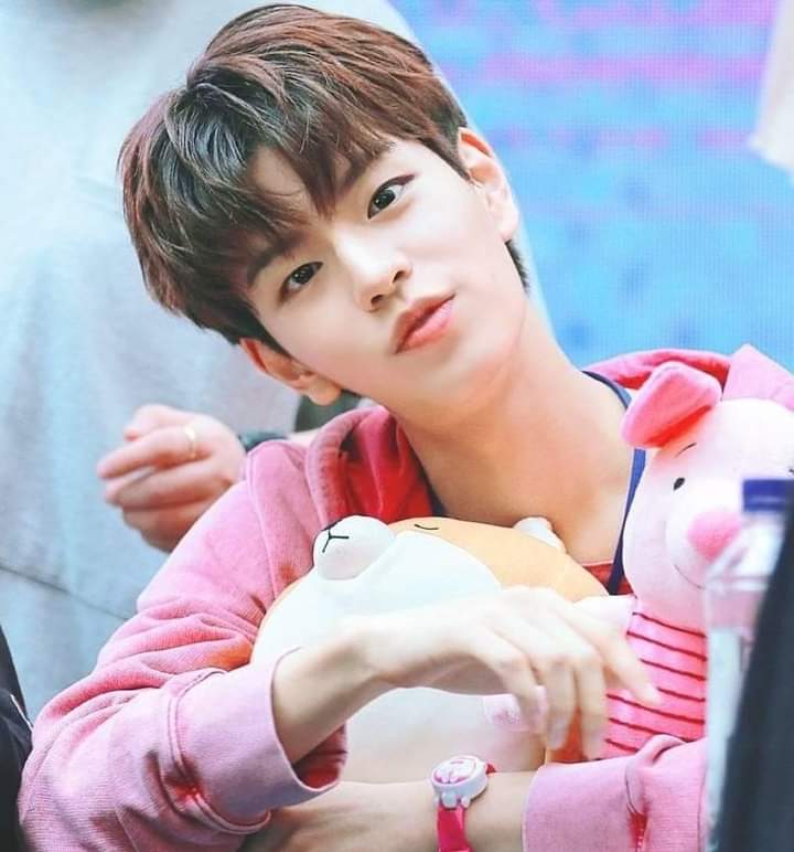 hanie_janieh's tweet photo. Es que es un bebéeeeeeee, ¿Como no amar a este angelito caído?
#SeungMinBestVocal #SeungMinthecutestintheuniverse #SeungMinWeLoveYou #SeungMinKing
#SeungMinThemostTalented #CuteMinnie #SeungMinHandsome https://t.co/11frSQuVyB