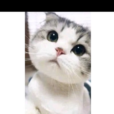 ESOKA55's tweet photo. #NewProfilePic https://t.co/jHUN1X1jBF