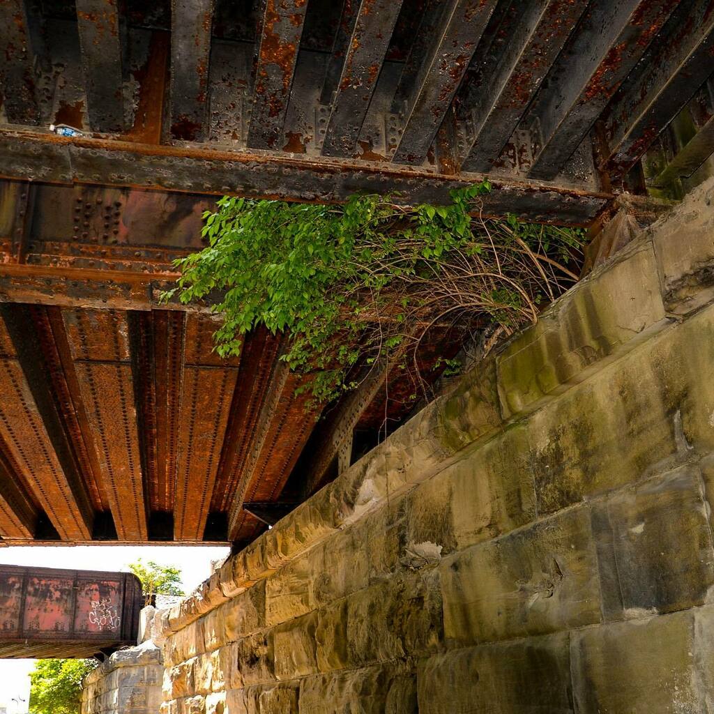 There’s always something hiding where you don’t expect it 🌿
.
.
.
#stockphotography #landscapephotography #brookeallisonarts #hiddengems #plants #bridges #bridgephotography #travelphotography #wanderlust #columbus #columbusohio #cbus #rustic #aesthetic #aestheticphotography