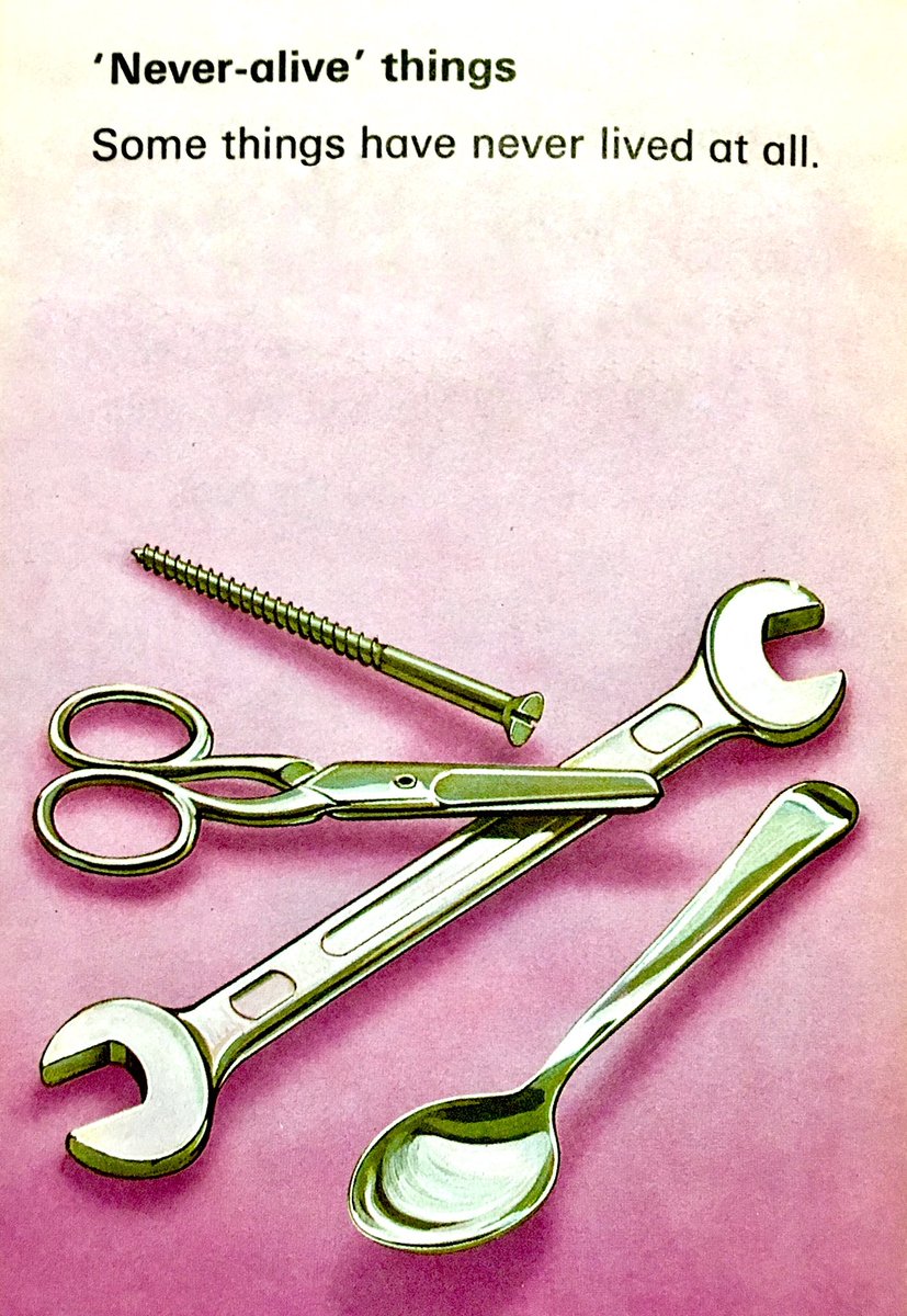 LBFlyawayhome's tweet image. Ladybird wisdom, part 61. 
&quot;Some things ...”

(1977) #DavidPalmer