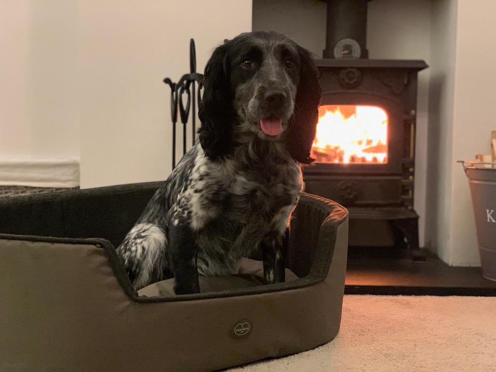 Nothing beats getting nice &amp; cozy in front of the fire keeping nice &amp; warm 🔥 Tilly the Spaniel has been busy showing us how whilst testing out her new <a href="/LeChameau1927/">Le Chameau</a> dog bed  🐶 To get yours speak to your Doubleday parts department #ItsADogsLife #WorkingDog