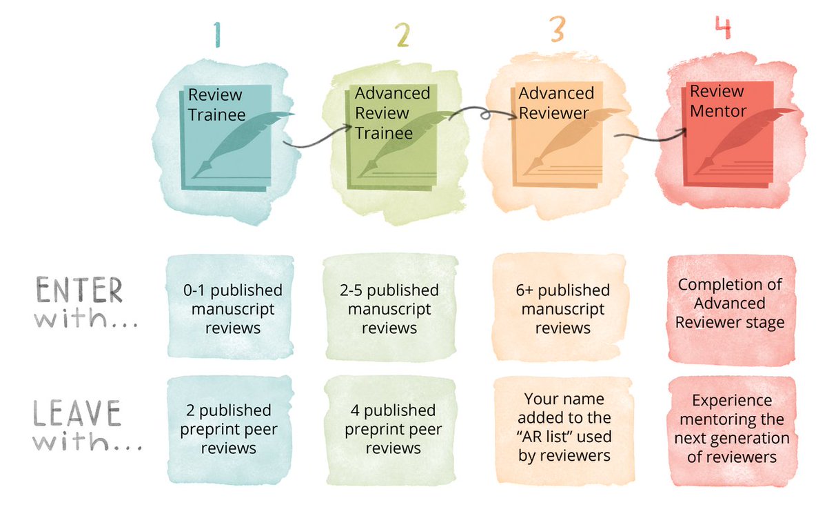 The program offers opportunities for ECRs with little-to-no experience in peer review to learn directly from their peers and from experienced journal editors, as well as to grow into experts themselves who may then mentor others. These are our 4 stages of engagement: 2/n