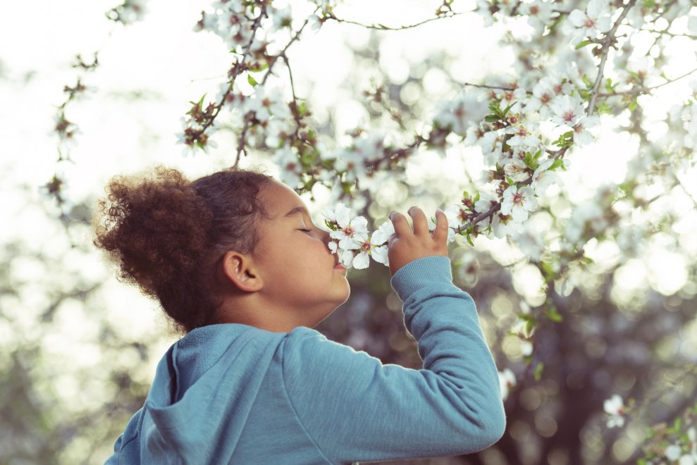 Today is #TakeMeOutsideDay with <a href="/takemeoutside/">Take Me Outside</a>! Are you able to get outside with your students today? Learn more about how integrating outdoor play into the school day benefits children, here: bit.ly/2EAdSMn