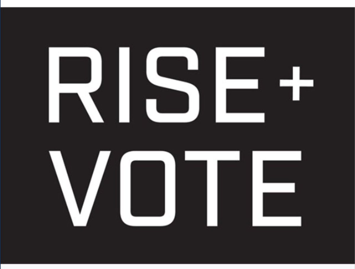 ForceDetroit's tweet photo. RISE + VOTE. November 3rd is one of the most important LOCAL elections ever! We have to choose judges that will AFFECT US right now, at home. #judgethevote #RiseandVote #meetforcewithFORCE https://t.co/vJvW1tyYC0