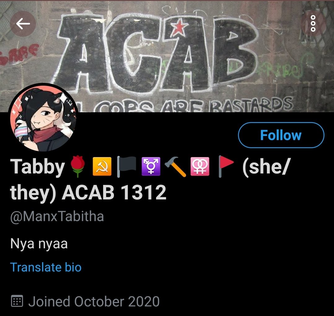 Now let's get to the pronouns. Natalie decided to include pronouns in Tabby's username. Specifically she/they, which is a little peculiar considering it has never been mentioned that Tabby was nonbinary. The last time Nat needed a nb character she created Baltimore Maryland.