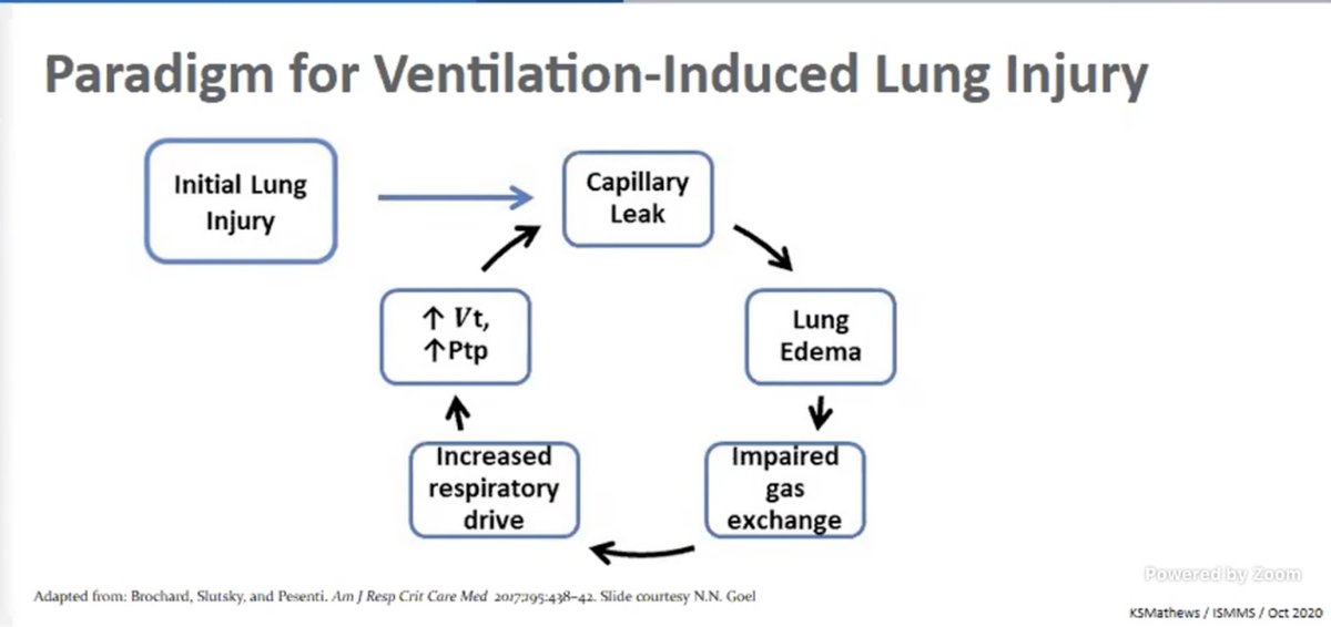 Dr. Mathews: Starts with sharing what drives ventilation-induced lung injury. This is "leak" is likely more pronounced in  #COVID19 #CHEST2020