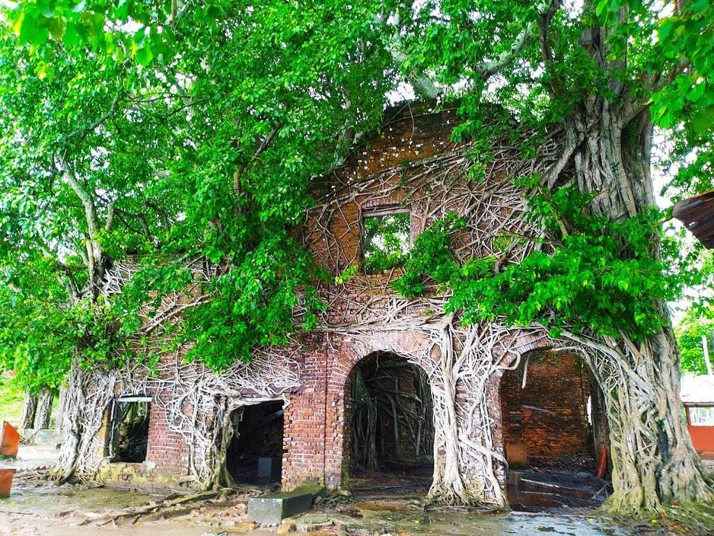 The historic ruins at Ross Islands in the Andamans. Always fascinating when a photo needs no editing or filter because Mom Nature has taken care of it ❤️ https://t.co/5m8atfl74U https://t.co/CnnFnw91UC