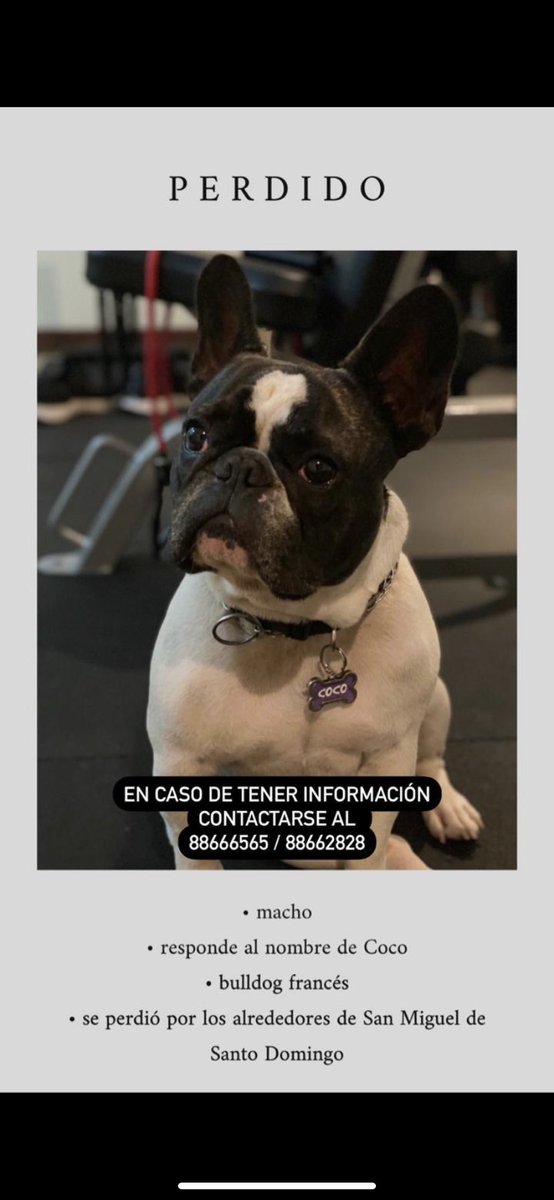 ale araya. (aaraya1221) Twitter