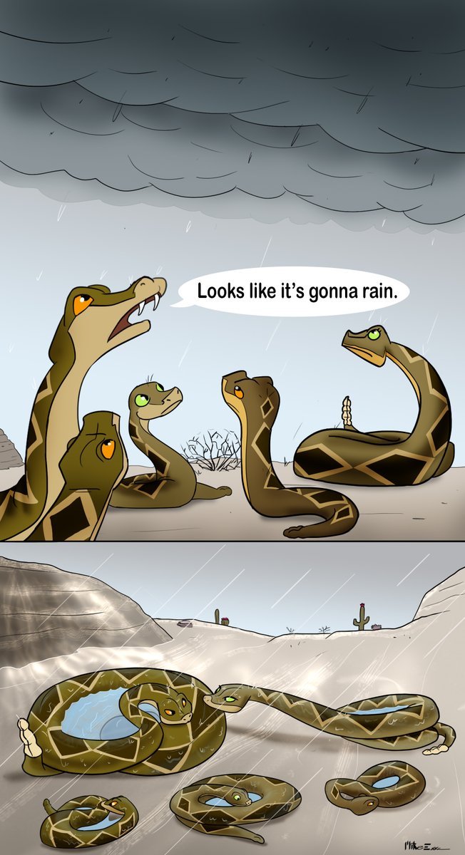 For #ReptileAwarenessDay, I think you all should be aware of the CUTE AND CHARMING fact that #rattlesnakes make themselves into little bowls to collect and drink rainwater. 

Here is a smile-provoking depiction by artist Mike Essa. 

It sure is cute, but is it true?? Read on 1/