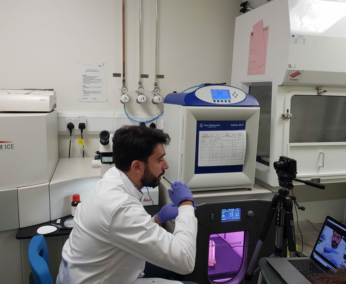 CUIKCL1's tweet image. Live streaming for a workshop. Great team work delivering an interactive experience! #CUI #ElectronMicroscopy #CLEM #TEM #SEM #SamplePrep #Unscripted #covidtimes