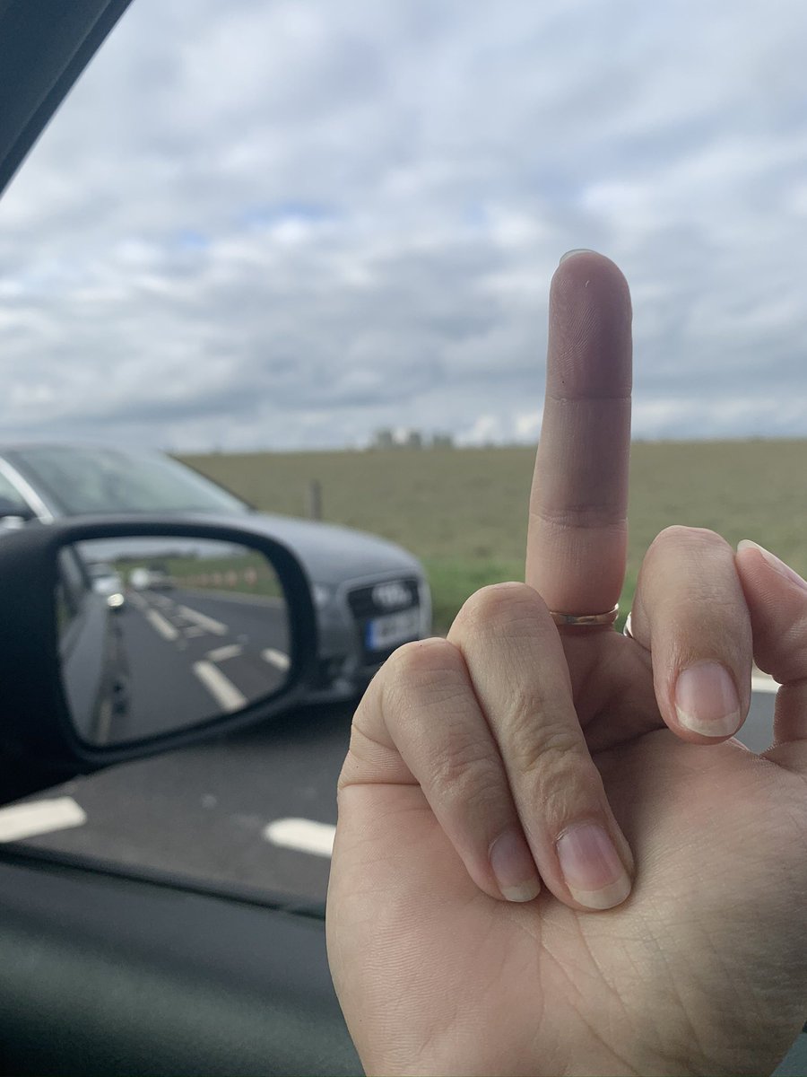 This is what those who drive down to the west country on a regular basis think of Stonehenge and the traffic that it causes... #standstill #traffic #westcountry #stonehengetraffic #landmarks #roadrage #bloodytourists