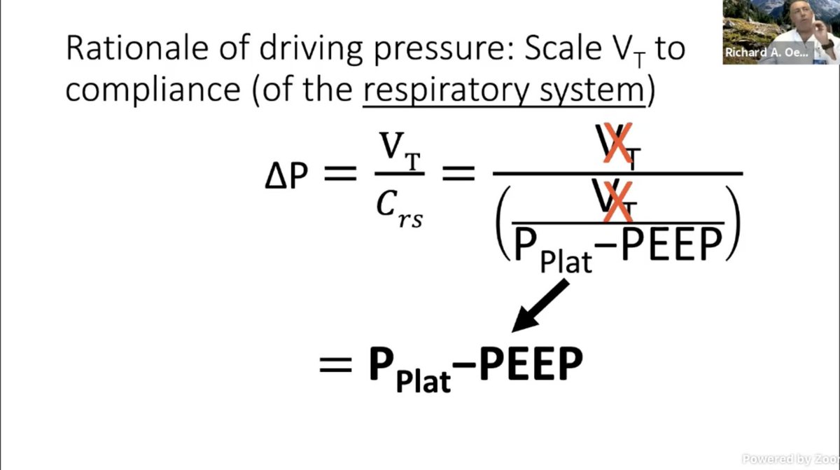 . @roeckler: PBW does not scale to the size of the baby lung in their study. So the Vt does not help across various individuals. He is advocating for scaling the Vt to the lung compliance of the baby lung instead, not the PBW/IBW.  #CHEST2020