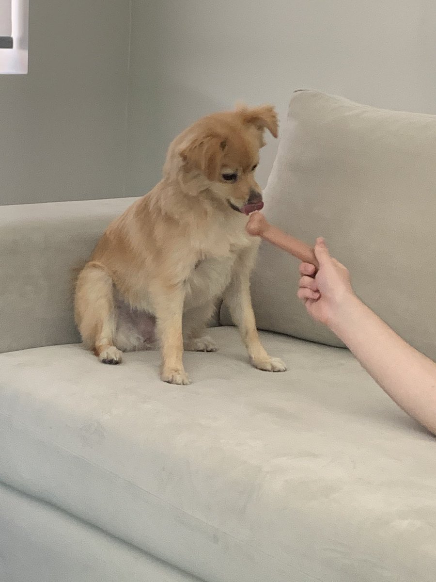 official_floof's tweet photo. post 4 people you’re grateful for, i,ll start https://t.co/CcP3vZj30Q